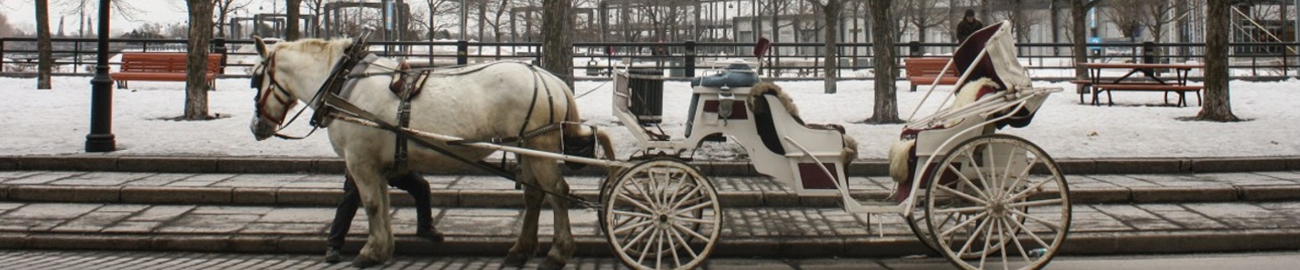 Rural Routes Banner