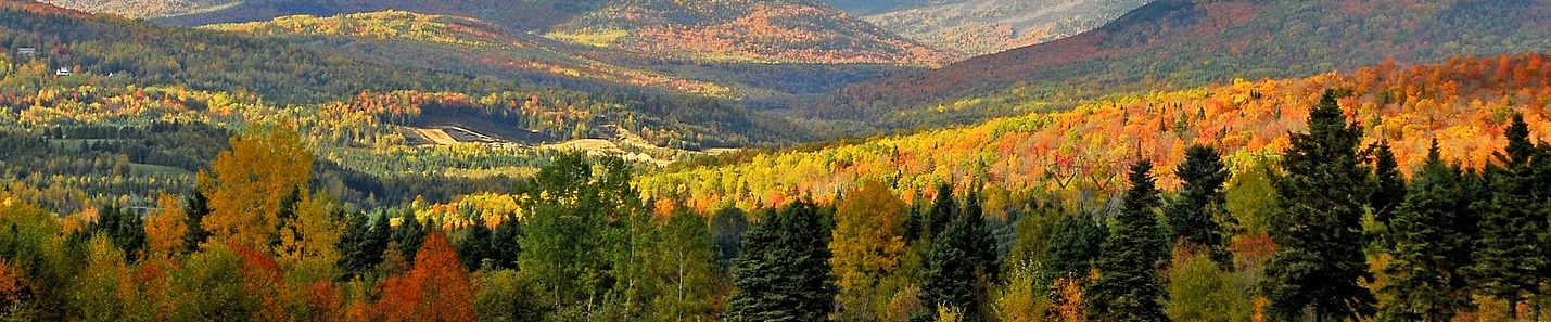 Rural Routes Banner