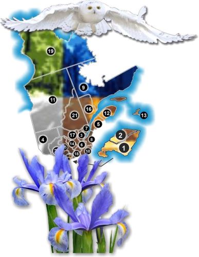 Rural Routes Map Image